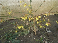 c9168dbb-Picture 6927.jpg